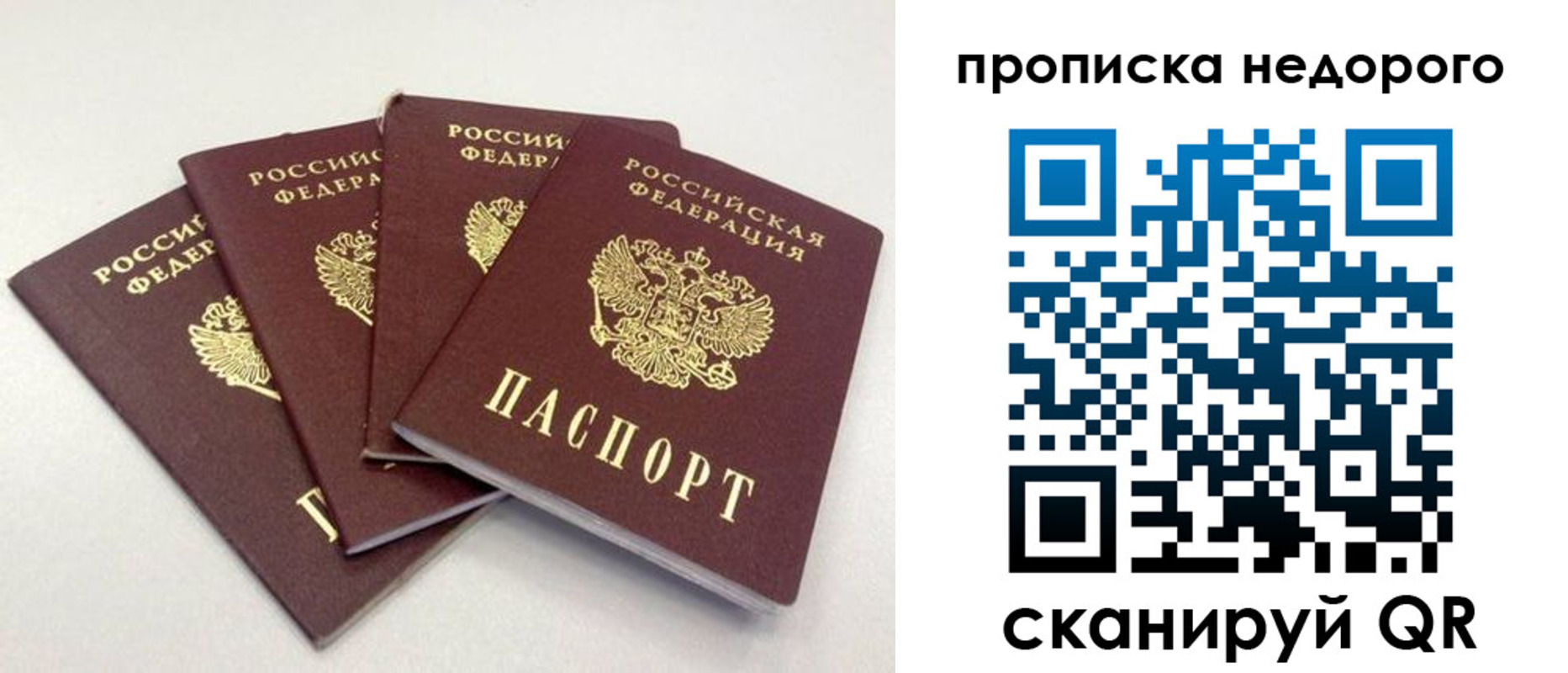 прописка законно в Ряжске